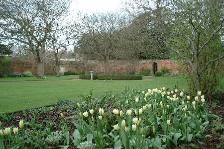 Lily Pond Garden